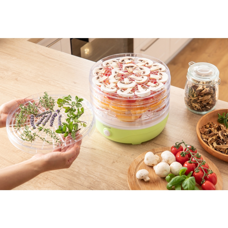 Sencor - Mattork 250W/230V