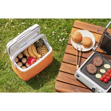 Sencor - Portabelt bilkylskåp 22 l 45W/12V orange/vit