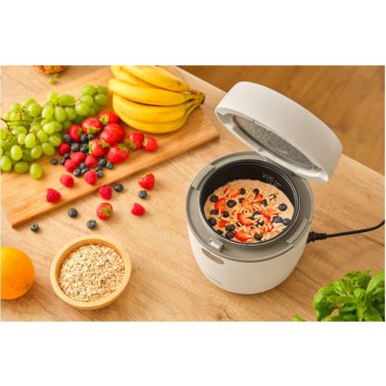 Sencor - Riskokare 350 W/230 V 0,6 l vit