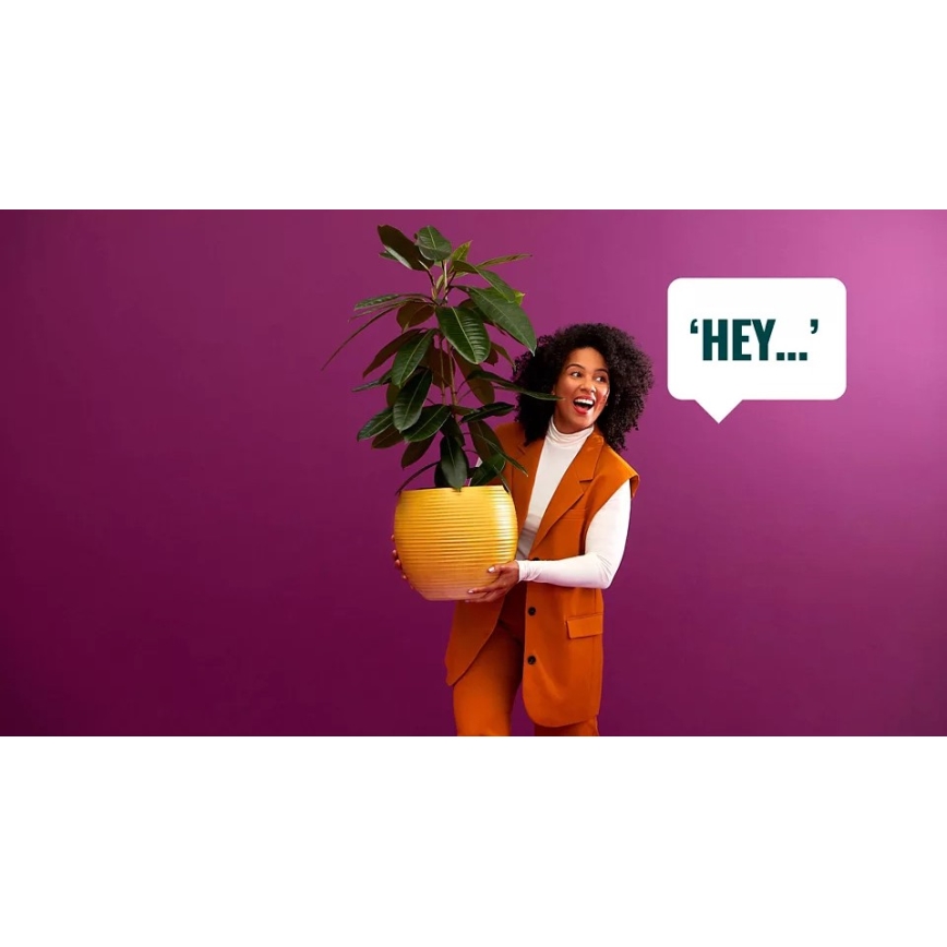 SET 2x Dimbara LED-lampor PAR16 GU10/4,7W/230V 2700-6500K CRI 90 Wi-Fi - WiZ