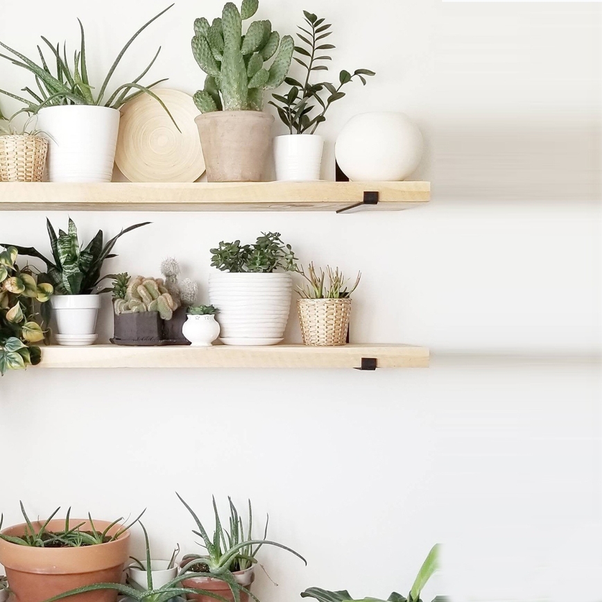 SET 2x Vägghylla 16x60 cm gran