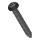 Set om 50 skruvar Torx T25, 12 mm, svartlackerade