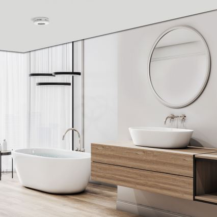 Rök- och kolmonoxiddetektor med LCD-display 2xAA