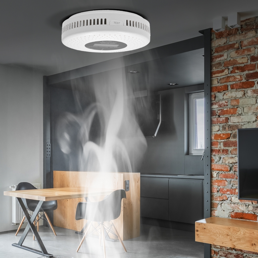 Rök- och kolmonoxiddetektor med LCD-display 2xAA