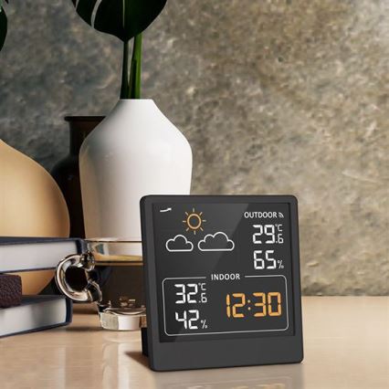 Digital termometer 5V/2xAAA + 2xAAA svart