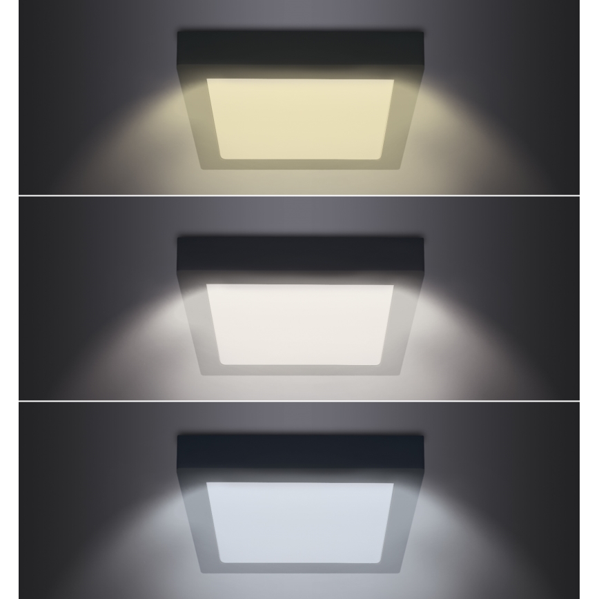 LED Taklampa LED/18W/230V 3000/4000/6000K svart fyrkantig