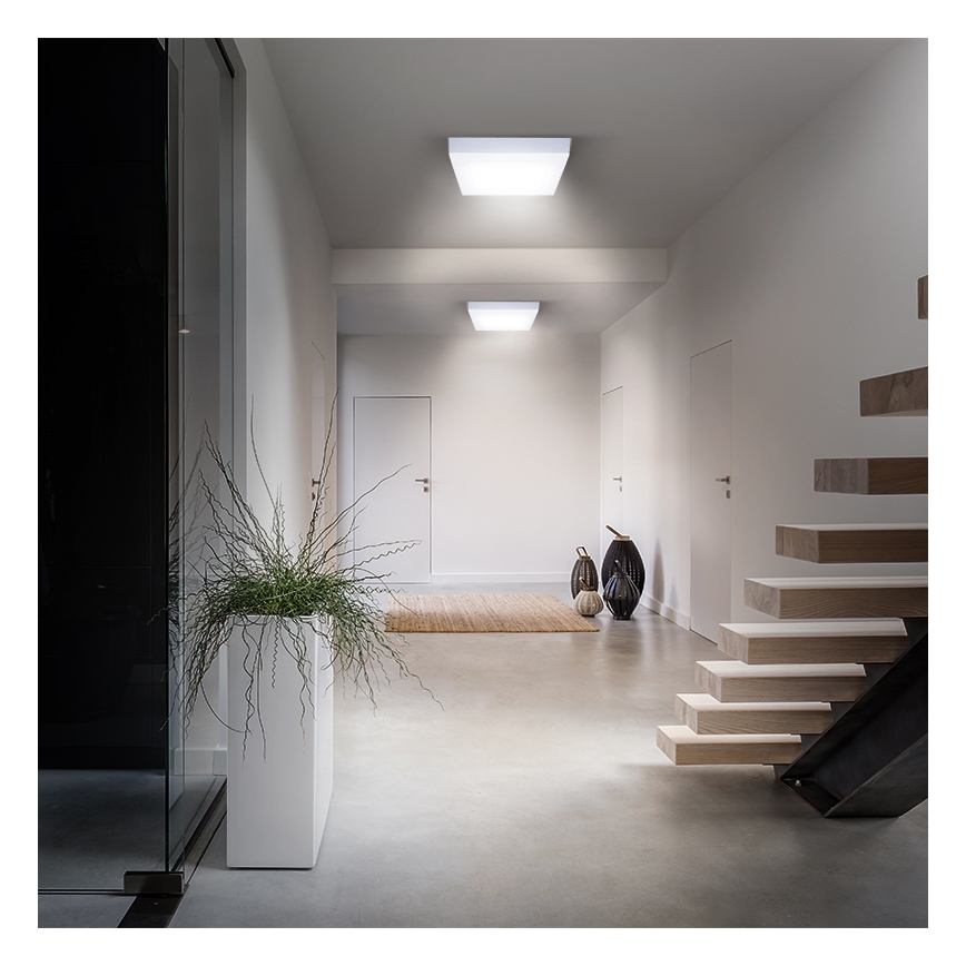 LED taklampa LED/18W/230V 3000/4000/6000K 22,5x22,5 cm vit