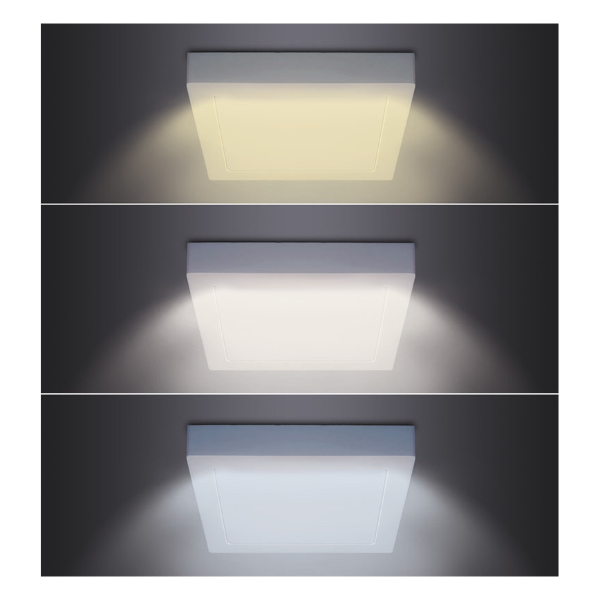 LED taklampa LED/18W/230V 3000/4000/6000K 22,5x22,5 cm vit