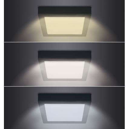 LED Taklampa LED/24W/230V 3000/4000/6000K svart fyrkantig