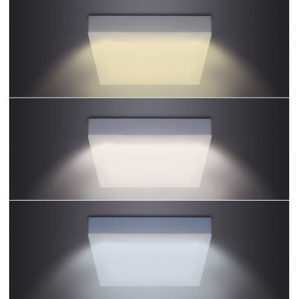 LED-taklampa LED/24W/230V 3000/4000/6000K 30x30 cm vit