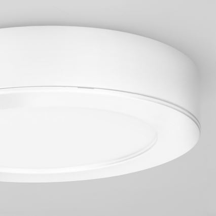 LED 2-i-1-panel för ytmontering och infällnad, 12 W, 230 V, 3000/4000/6000 K, Ø 17 cm, IP54, vit