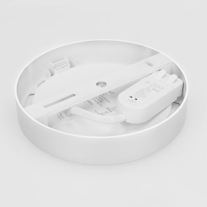 LED 2-i-1-panel för ytmontering och infällnad, 12 W, 230 V, 3000/4000/6000 K, Ø 17 cm, IP54, vit