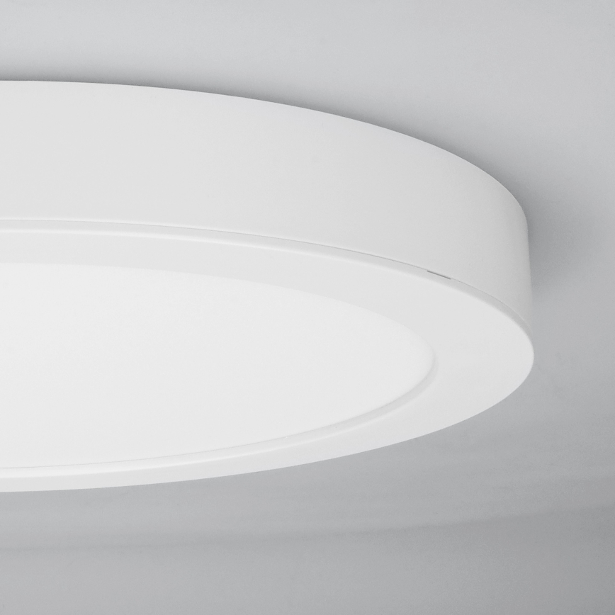 LED påbyggnads-/infälld panel 2-i-1, 18 W/230 V, 3000/4000/6000 K, Ø 22,5 cm, IP54, vit