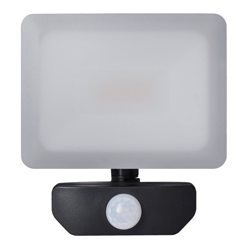 LED Utomhusstrålkastare med en sensor LED/20W/230V 4000K IP44