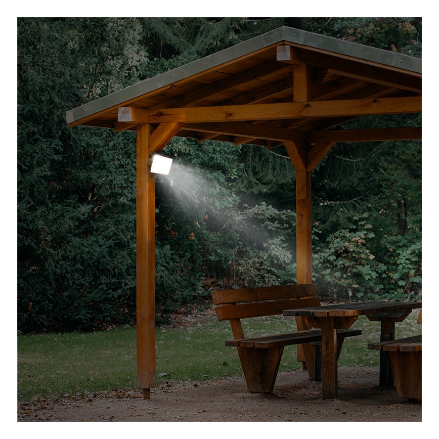 LED Utomhusbelysning LED/30W/230V 4000K IP65