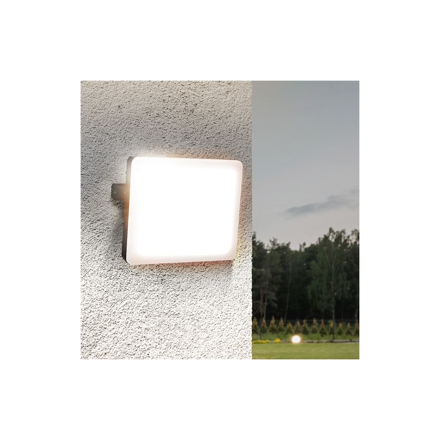 LED Utomhusbelysning LED/30W/230V 4000K IP65