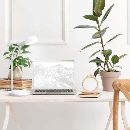 LED ljusreglerad bordslampa touch LED/4,5W/5V 3000/4000/6500K vit