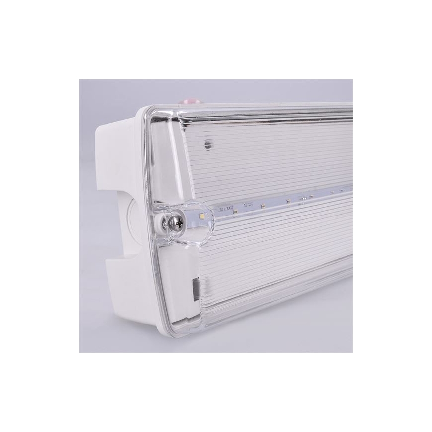 LED nödbelysning LED/6W/230V IP65 6500K