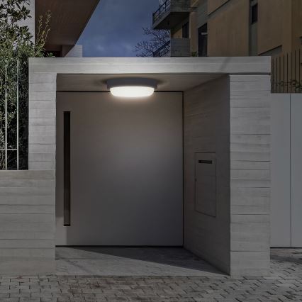 LED vägglampa för utomhusbruk LED/20W/230V 4000K IP54 grå rund