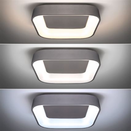 LED Dimbart takarmatur TREVISO LED/48W/230V + fjärrkontroll