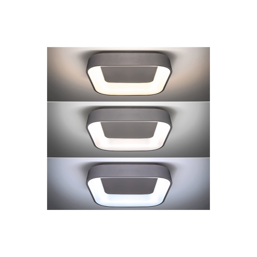 LED Dimbart takarmatur TREVISO LED/48W/230V + fjärrkontroll