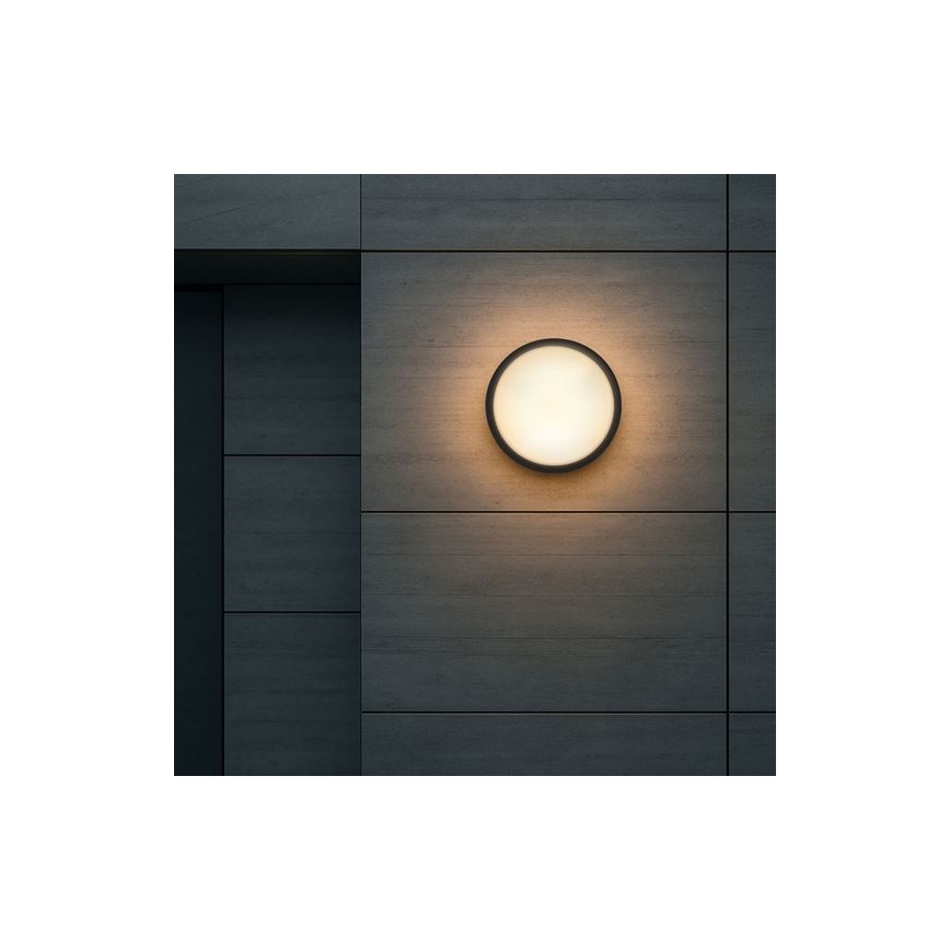 LED utomhusvägglampa 2 i 1 LED/20W/230V 3000/4000/6500K IP65 Ø 22 cm
