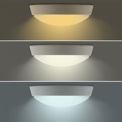 LED utomhusvägglampa 2 i 1 LED/20W/230V 3000/4000/6500K IP65 Ø 22 cm