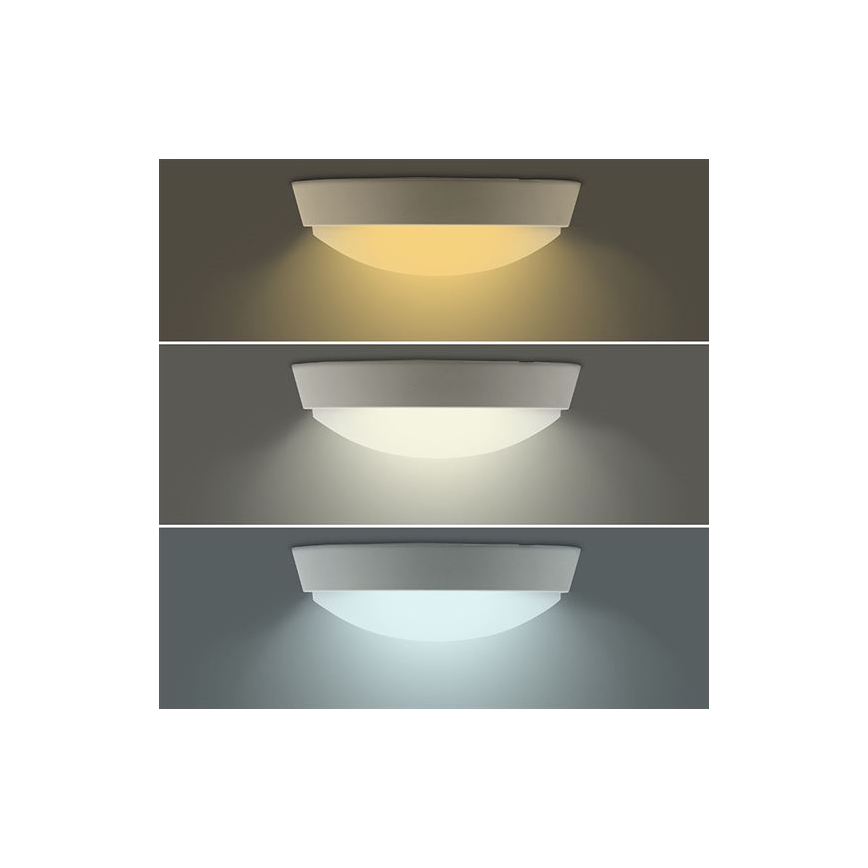 LED utomhusvägglampa 2 i 1 LED/20W/230V 3000/4000/6500K IP65 Ø 22 cm