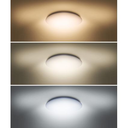 LED Taklampa PLAIN LED/36W/230V 3000/4000/6000K rund