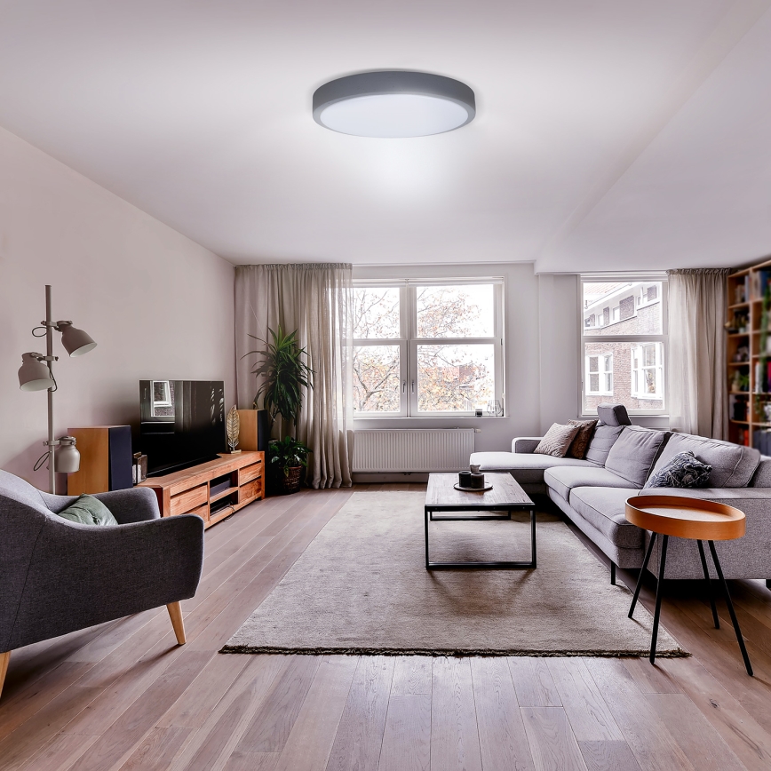 LED Dimbart taklampa GREY LED/60W/230V 3000-6500K grå Ø 49 cm + fjärrkontroll