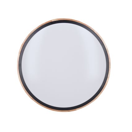 Dimbar LED-taklampa IRON OAK LED/48W/230V 3000-6500K ek diam. 40 cm + fjärrkontroll