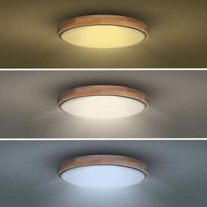 LED Dimbart taklampa IRON OAK LED/60W/230V 3000-6500K ek pr. 51 cm + fjärrkontroll