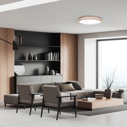 LED Dimbart taklampa WOODY LED/48W/230V 3000-6500K ek pr. 38 cm + fjärrkontroll