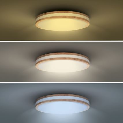 LED Dimbart taklampa WOODY LED/60W/230V 3000-6500K ek pr. 50 cm + fjärrkontroll