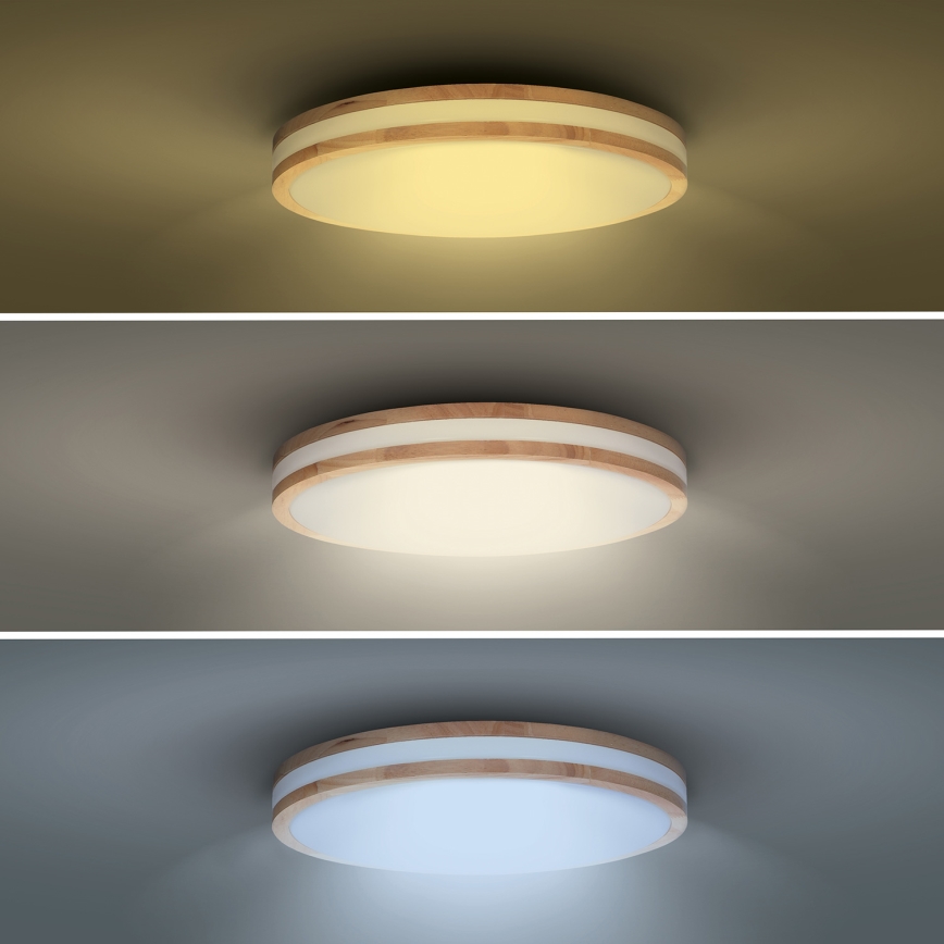 LED Dimbart taklampa WOODY LED/60W/230V 3000-6500K ek pr. 50 cm + fjärrkontroll