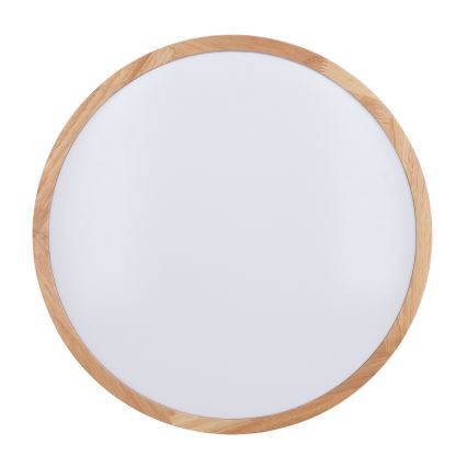 LED Dimbart taklampa WOODY LED/60W/230V 3000-6500K ek pr. 50 cm + fjärrkontroll