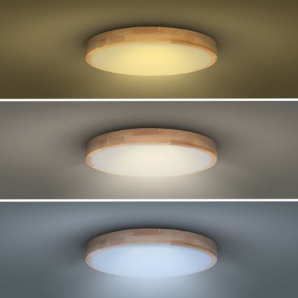 LED Dimbart taklamp SOLID OAK LED/60W/230V 3000-6500K ek pr. 51 cm + fjärrkontroll