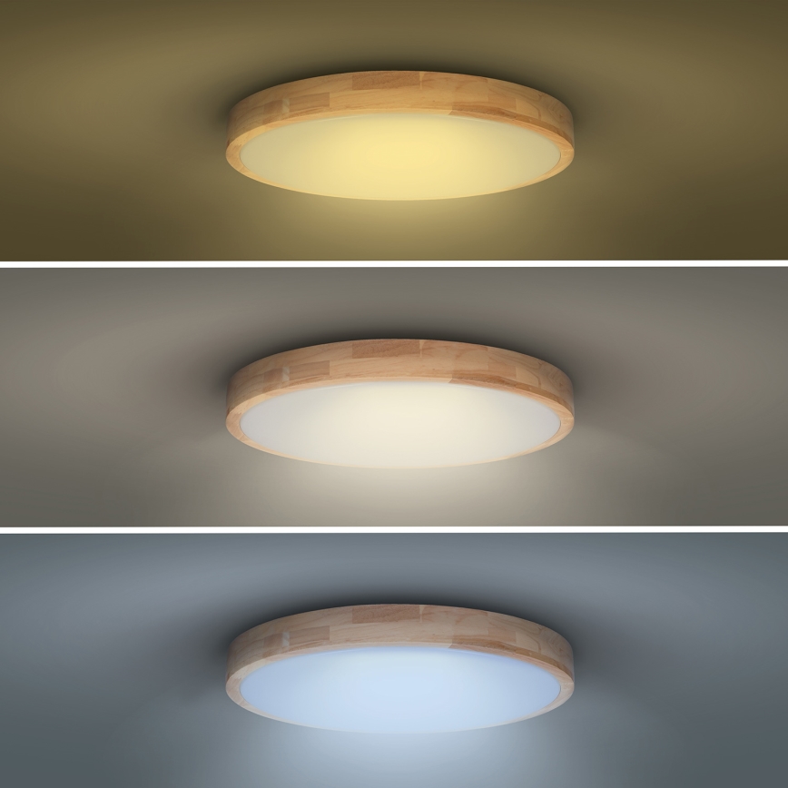 LED Dimbart taklamp SOLID OAK LED/60W/230V 3000-6500K ek pr. 51 cm + fjärrkontroll