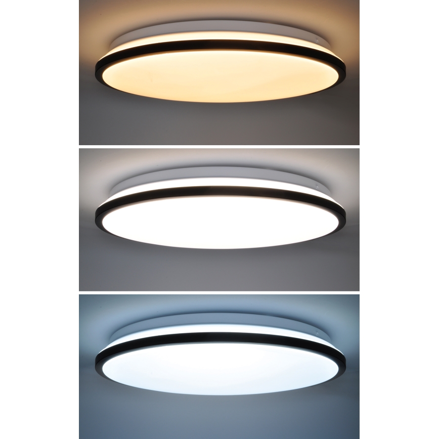 LED Dimbar taklampa JAMIL LED/48W/230V 3000-6500K svart + fjärrkontroll