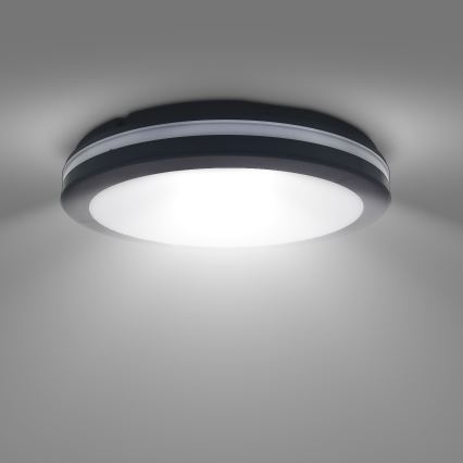LED Ljusreglerad utomhus tak belysning LED/18W/22W/26W/230V 3000/4000/6500K IP65 svart