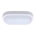 Soligth WO744 - Utomhus LED Takbelysning LED/13W/230V IP54