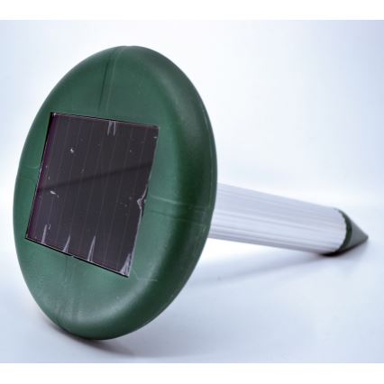 Sollampa mullvadsskrämma