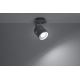 Sollux SL.0315 - Spotlight LAPINK 1 1xGU10/40W/230V grå