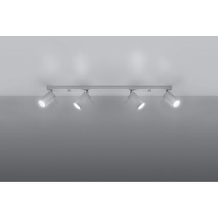 Spotlight RING 4L 4xGU10/10W/230V vit