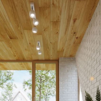 Tak spotlight OCULARE 6xGU10/10W/230V