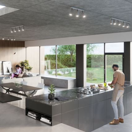 Väggmonterad spotlight MERIDA 1xGU10/40W/230V grå