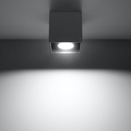 Spotlight QUAD 1 1xGU10/10W/230V antracit