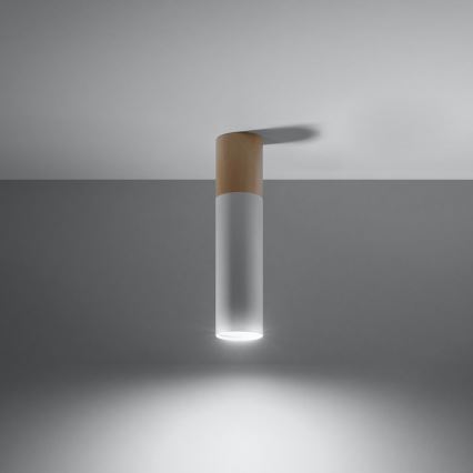 Taklampa PABLO 1xGU10/40W/230V vit/bok