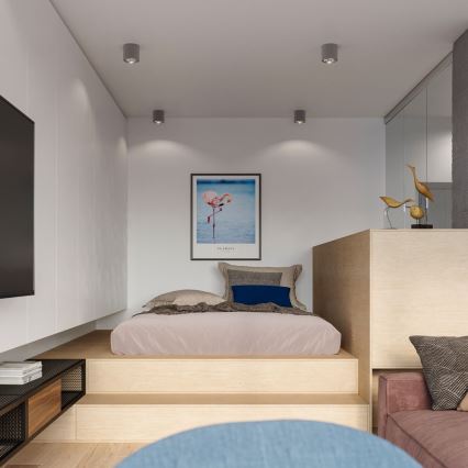 Spotlight TIUBE 1xGU10-AR111/10W/230V