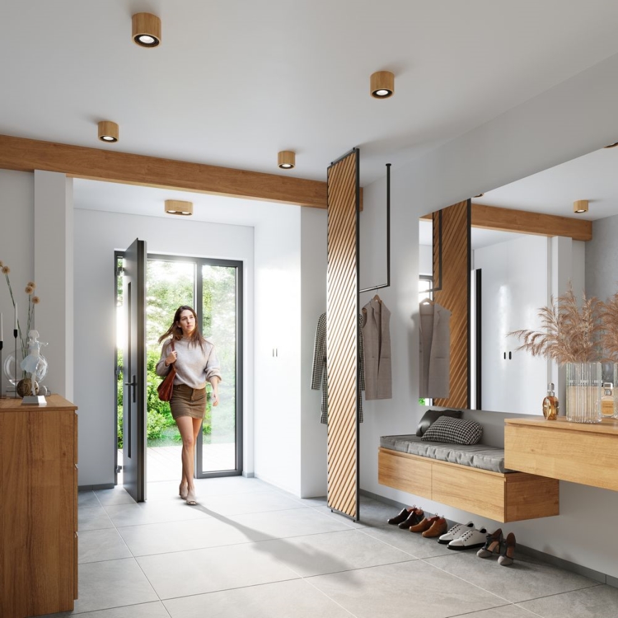 Taklampa BASIC AR111 1xGU10/40W/230V bok